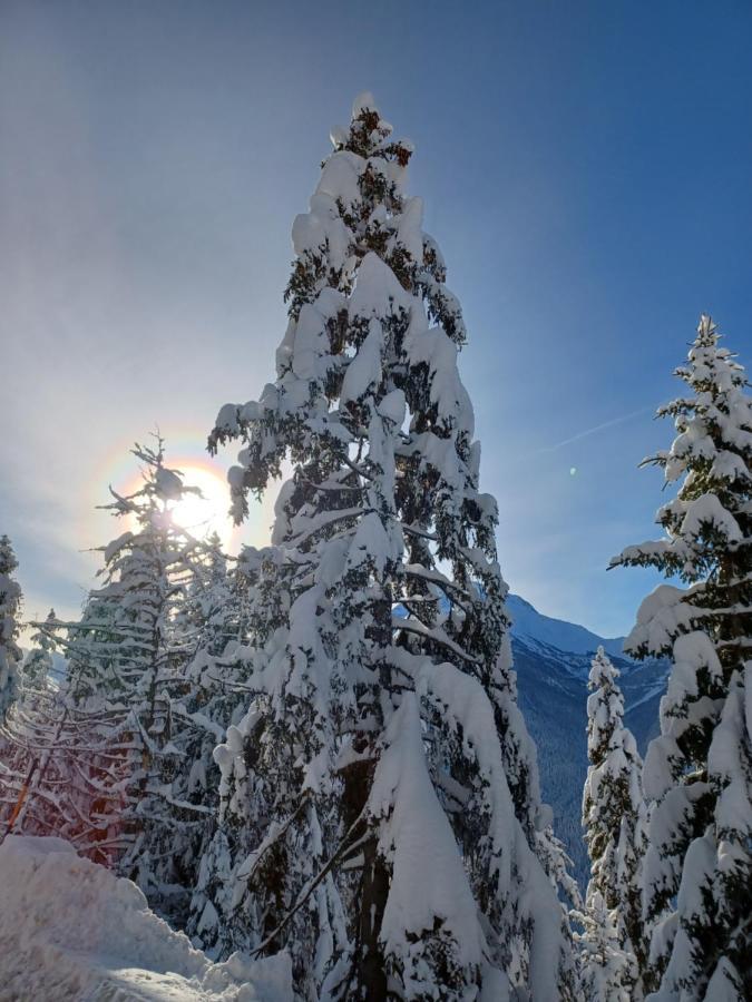 Chalet Les Clarines Apartment La Rosiere  Luaran gambar
